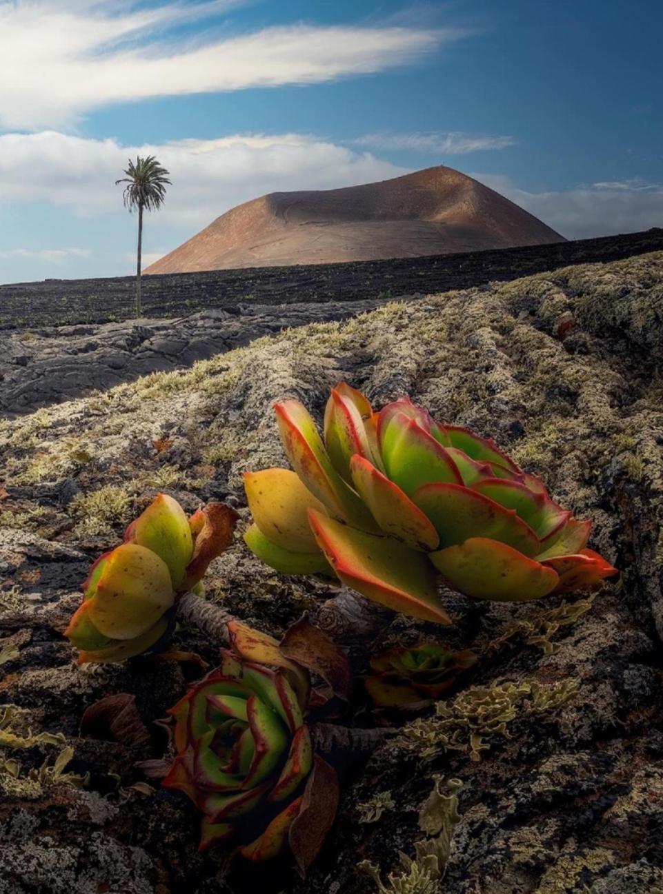 Lanzarote Casa Volcanica-Anclada Sobre La Lava Del Volcan Montana Blanca 外观 照片